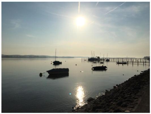 Ferienwohnung Bodensee Nenzingen Hegau Orsingen-Nenzingen Exteriér fotografie